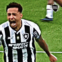 Nilton Santos Bfr GIF