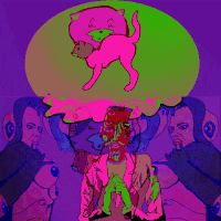 cat no GIF by Dax Norman