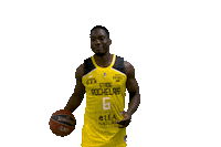 Basketball Celebration Sticker by Stade Rochelais