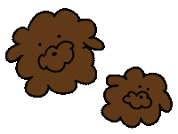 Toy Poodle Dog Sticker