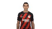 Eintracht Frankfurt No Sticker by Bundesliga