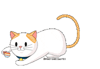 portodosgatos cat gato gatinho brincar Sticker