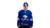 Hockey Kazakhstan Sticker by barys_official