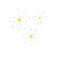 Flores Margaritas Sticker