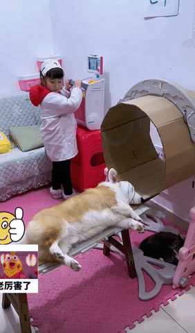 yj_jane giphyupload GIF