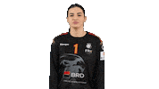 Handball Euro Sticker by EHF