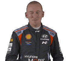 Hyundai Breen Sticker by FIA World Rally Championship