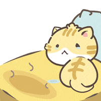 Sorry Cat GIF