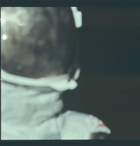 GIF by Canek
