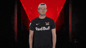 Posing Line Up GIF by Bundesliga