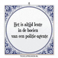 Teamwork Nl GIF by Tegelspreuken.nl