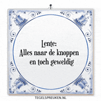 Nl Spreuk GIF by Tegelspreuken.nl