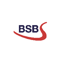 Bsb Sticker by Belgium Rugby