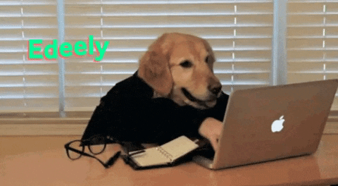 alex_edeely giphygifmaker GIF