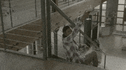 happy fox tv GIF by Rosewood