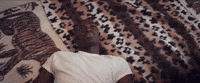4 leaf clover GIF by Ravyn Lenae