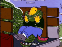 homer simpson GIF
