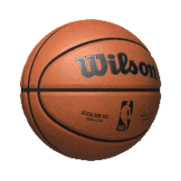 Wilson Sporting Goods 3D Sticker by Wilson Basketball