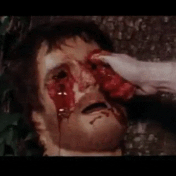 zombie holocaust horror movies GIF by absurdnoise