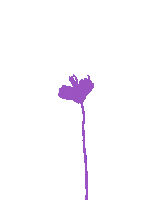 Flower Oerrr Sticker by Natuurmonumenten