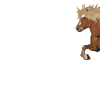 Easyflix horse horses pony pferd Sticker