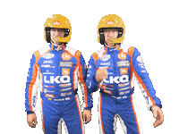 Racing Driver Sticker by Tom Coronel