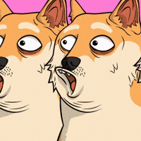 Youre Crazy Dumb And Dumber GIF by Doge Pound