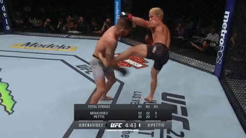 GIF by UFC