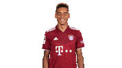 Bayern Munich Yes Sticker by Bundesliga