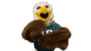 Happy Fly Eagles Fly Sticker by Philadelphia Eagles