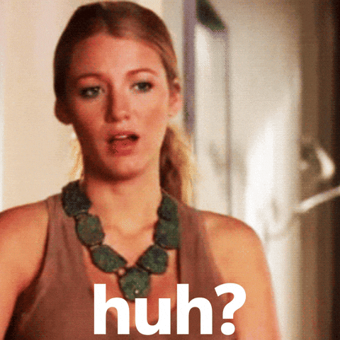 Excuse Me What GIF by Blake Lively Fan