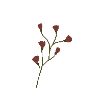 aprililaac flower green garden leaf Sticker