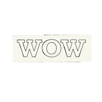 Wow Omg Sticker