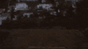 not2bad GIF by EchoBoom Sports
