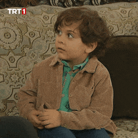 Ee Seksenler GIF by TRT