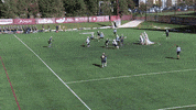 umichathletics  GIF