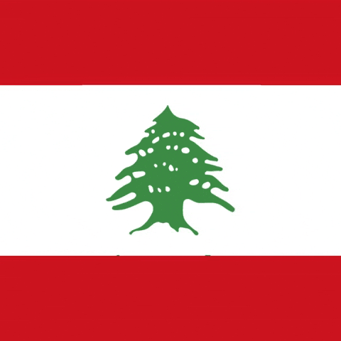 Lebanon Beirut GIF