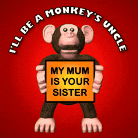 Monkey Im Surprised GIF