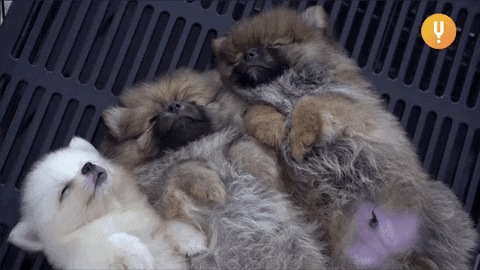 Hanging Out Waking Up GIF by CuriosityStream