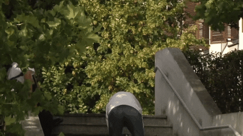 properpantspl giphyupload tomek przybylik GIF