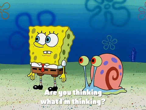 season 3 the great snail race GIF by SpongeBob SquarePants