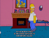 homer simpson GIF