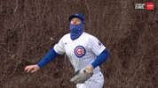 Excited Chicago Cubs GIF by TheDreamTeam 