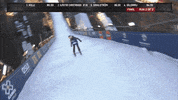 espn fun GIF by X Games 
