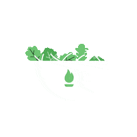 Leaf Salad Sticker by Flame Broiler