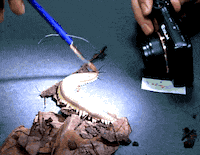 research slime GIF by Harvard University