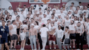 Basketball Fans GIF by Colgate Athletics