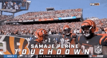 Cincinnati Bengals Football GIF by NFL