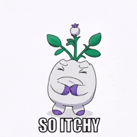 Bed Bugs Scratch GIF by Magic Eden