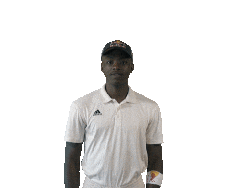 South Africa Cricket Sticker by Red Bull